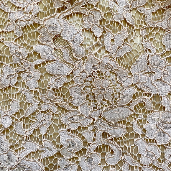 Two Piece Lace Dress - Picture 5 of 5